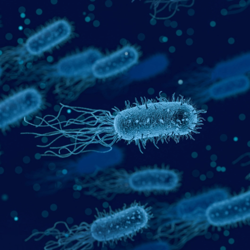 Surgeons and researchers planning a pediatric procedure with digital imaging