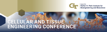 CTeng Header Image
